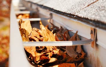 Ivy Hatch gutter cleaning companies