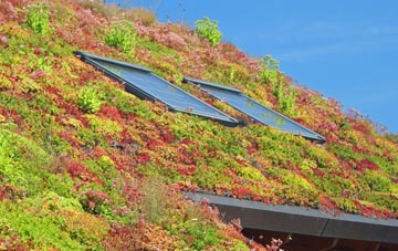 Ivy Hatch living roof systems