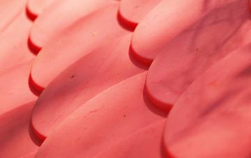 Ivy Hatch plastic roof costs