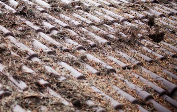 Ivy Hatch roof cleaning companies