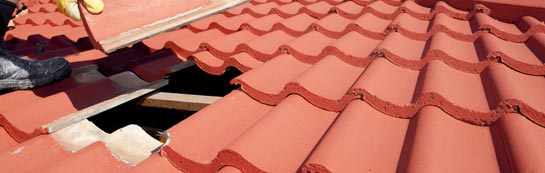 compare Ivy Hatch roof repair quotes