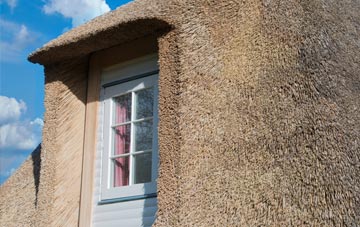 Ivy Hatch thatch roof disadvantages