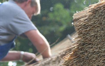 professional Ivy Hatch thatchers