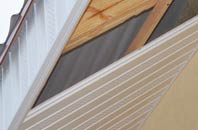 rated Ivy Hatch soffit repair companies